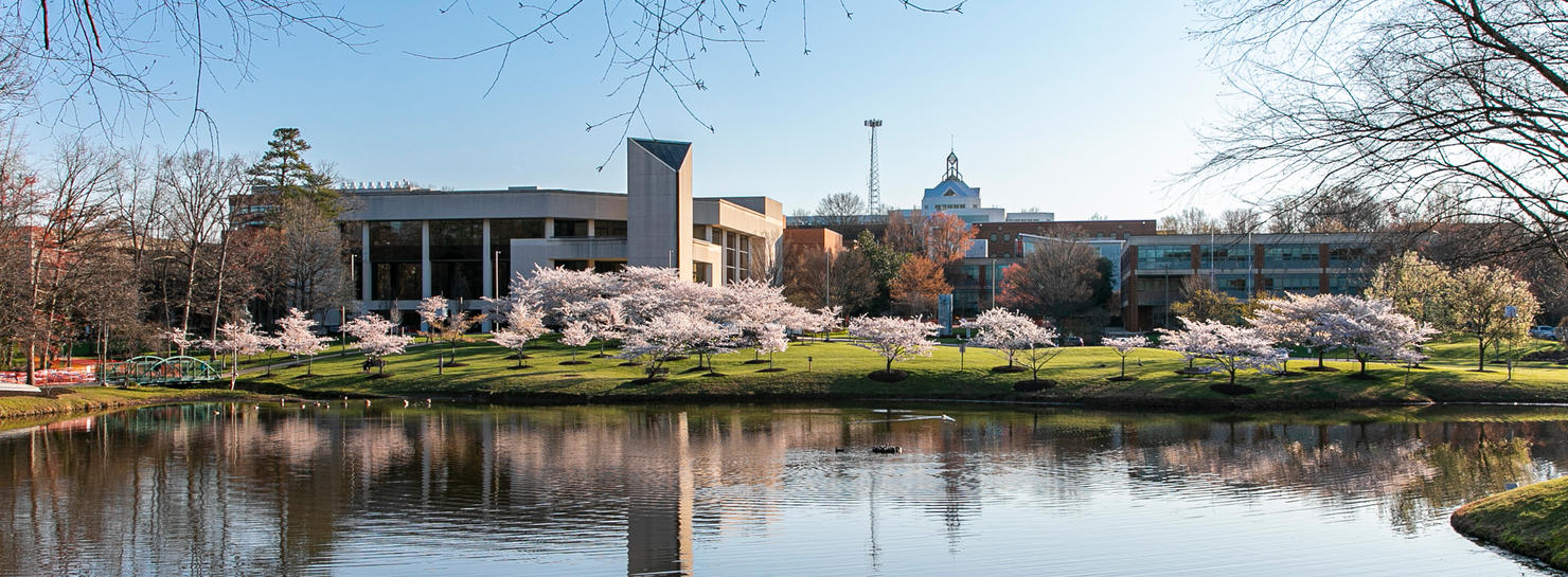 Cherry blossom trees beside Mason Pond