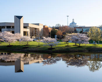 Cherry Blossom trees line the Mason Pond